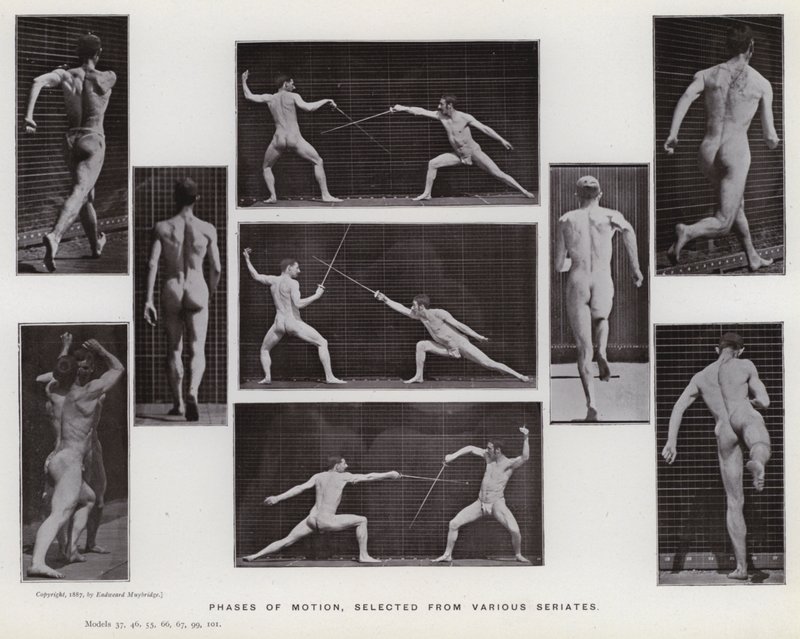 The Human Figure in Motion: Phases of motion, selected from various series by Eadweard Muybridge