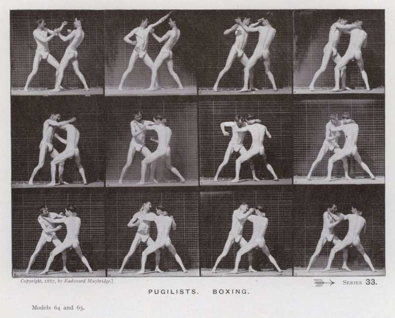 The Human Figure in Motion: Pugilists, Boxing by Eadweard Muybridge