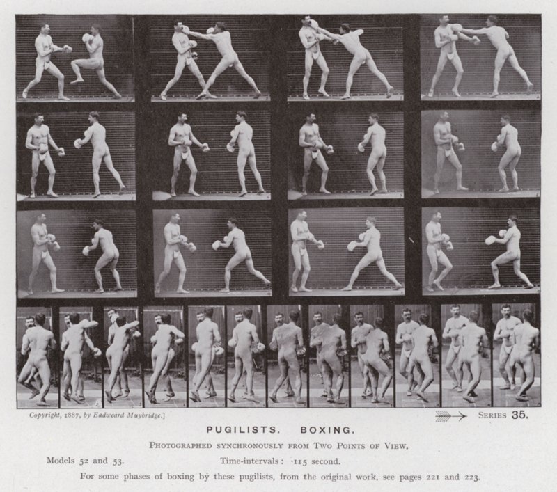 The Human Figure in Motion: Pugilists, Boxing by Eadweard Muybridge