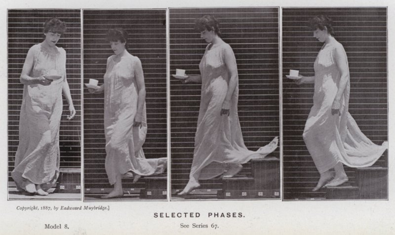The Human Figure in Motion: Selected phases by Eadweard Muybridge