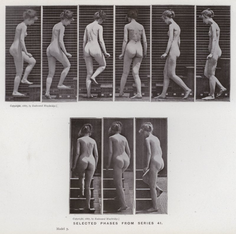 The Human Figure in Motion: Selected phases from series 41 by Eadweard Muybridge