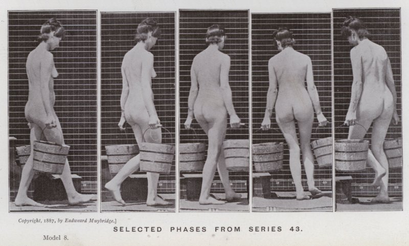 The Human Figure in Motion: Selected phases from series 43 by Eadweard Muybridge