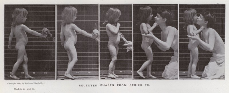 The Human Figure in Motion: Selected phases from series 79 by Eadweard Muybridge