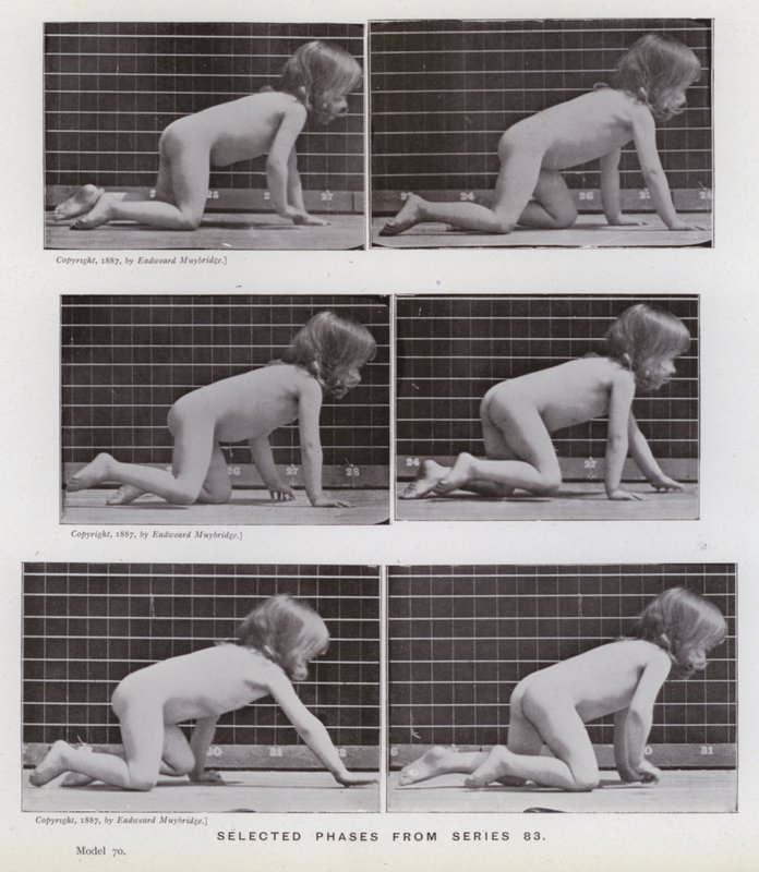 The Human Figure in Motion: Selected phases from series 83 by Eadweard Muybridge