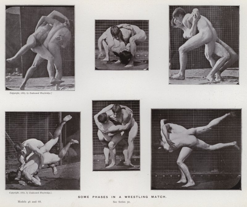 The Human Figure in Motion: Some phases in a wrestling match by Eadweard Muybridge