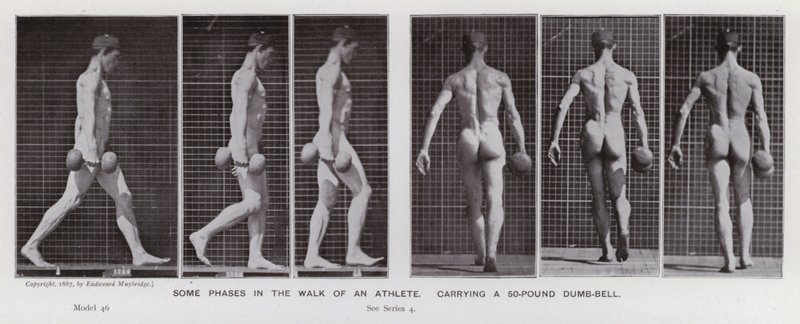 The Human Figure in Motion: Some phases in the walk of an athlete, carrying a 50-pound dumb-bell by Eadweard Muybridge