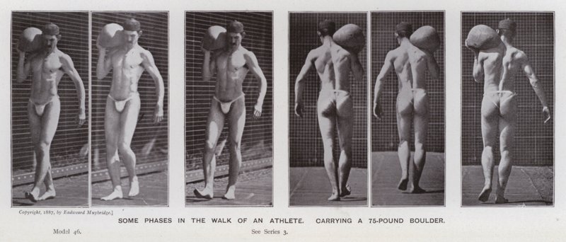 The Human Figure in Motion: Some phases in the walk of an athlete, carrying a 75-pound boulder by Eadweard Muybridge