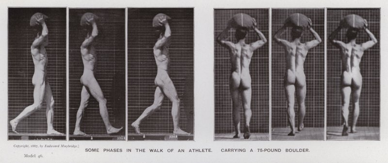 The Human Figure in Motion: Some phases in the walk of an athlete, carrying a 75-pound boulder by Eadweard Muybridge