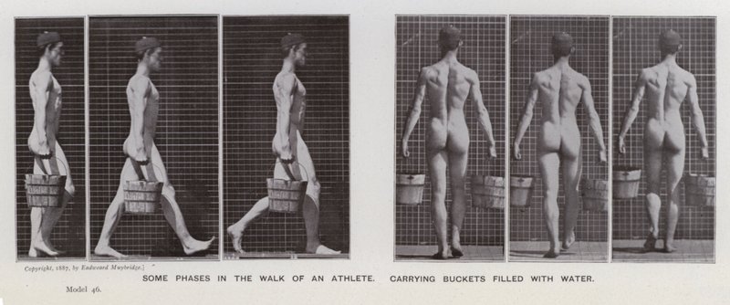 The Human Figure in Motion: Some phases in the walk of an athlete, carrying buckets filled with water by Eadweard Muybridge