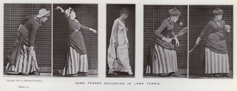 The Human Figure in Motion: Some phases occurring in lawn tennis by Eadweard Muybridge