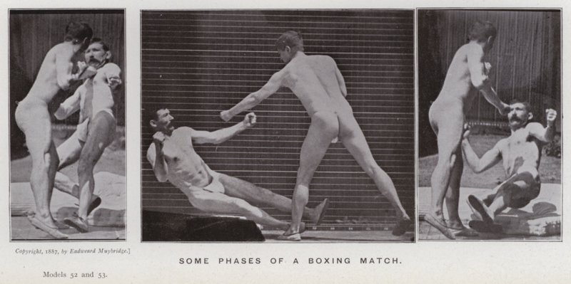 The Human Figure in Motion: Some phases of a boxing match by Eadweard Muybridge