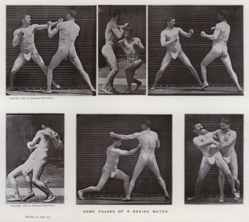 The Human Figure in Motion: Some phases of a boxing match by Eadweard Muybridge
