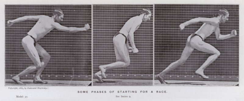 The Human Figure in Motion: Some phases of starting a race by Eadweard Muybridge
