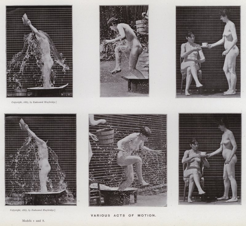 The Human Figure in Motion: Various acts of motion by Eadweard Muybridge