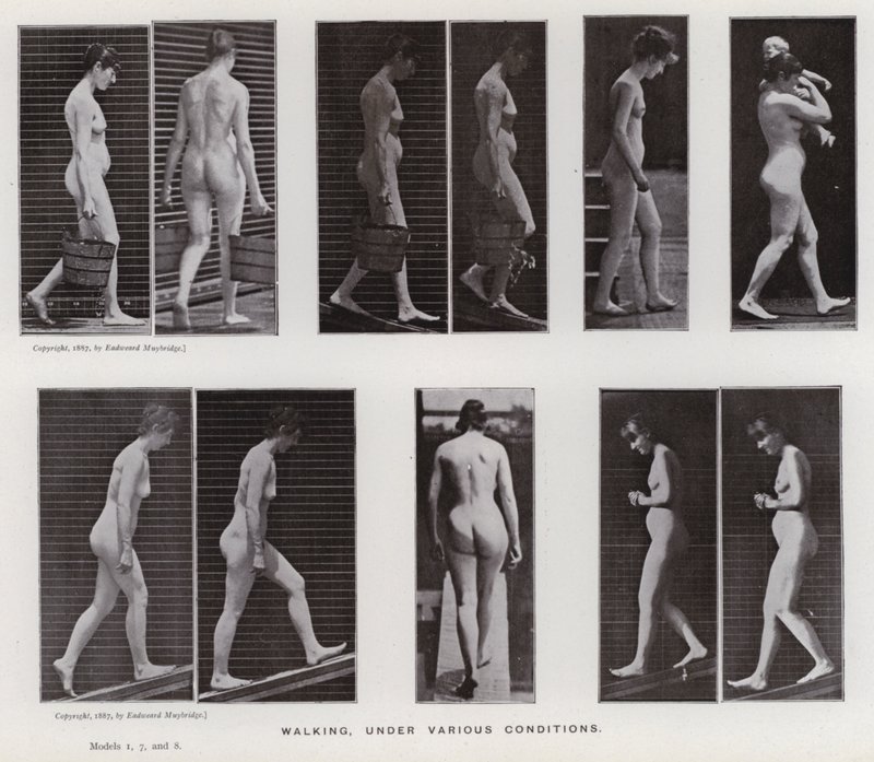 The Human Figure in Motion: Walking under various conditions by Eadweard Muybridge