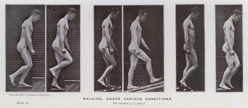 The Human Figure in Motion: Walking, under various conditions by Eadweard Muybridge