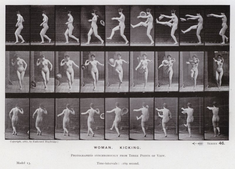 Amazon.com: The Human Figure in Motion: 9780486202044