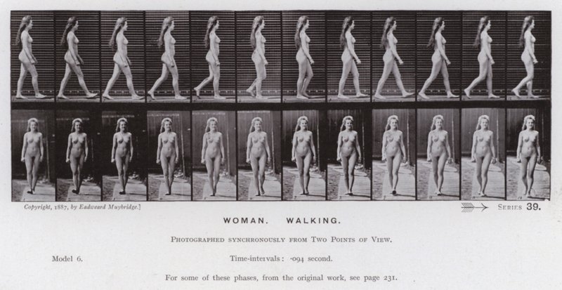 The Human Figure in Motion: Woman, Walking by Eadweard Muybridge