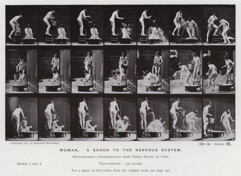 The Human Figure in Motion: Woman, a shock to the nervous system by Eadweard Muybridge