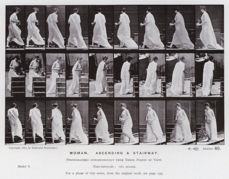 The Human Figure in Motion: Woman, ascending a stairway by Eadweard Muybridge