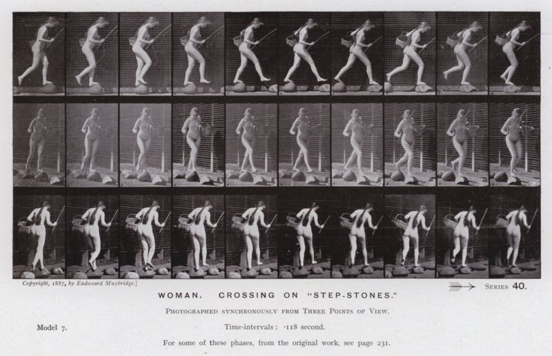 The Human Figure in Motion: Woman, crossing on 
