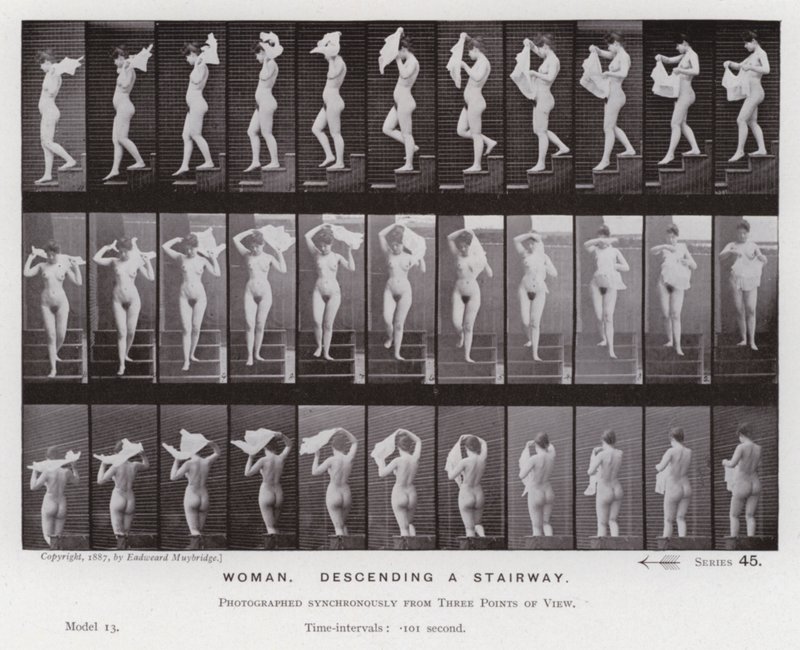 The Human Figure in Motion: Woman, descending a stairway by Eadweard Muybridge