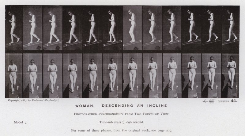 The Human Figure in Motion: Woman, descending an incline by Eadweard Muybridge