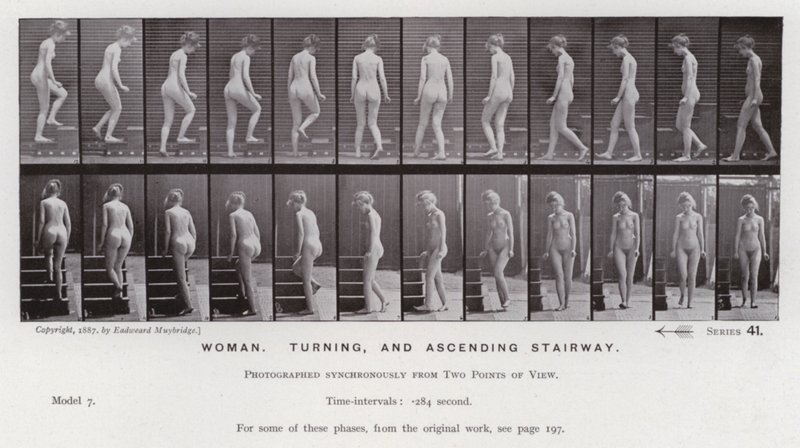 The Human Figure in Motion: Woman, turning, and ascending stairway by Eadweard Muybridge