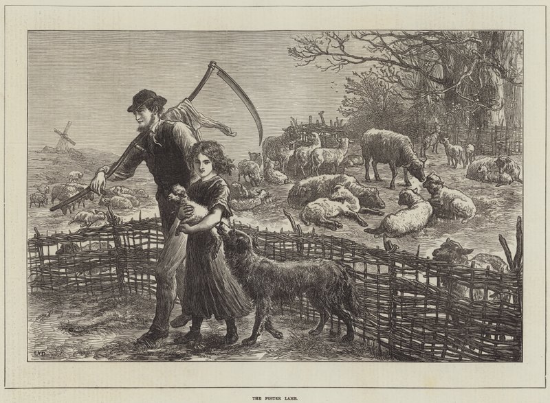 The Foster Lamb by Ebenezer Newman Downard
