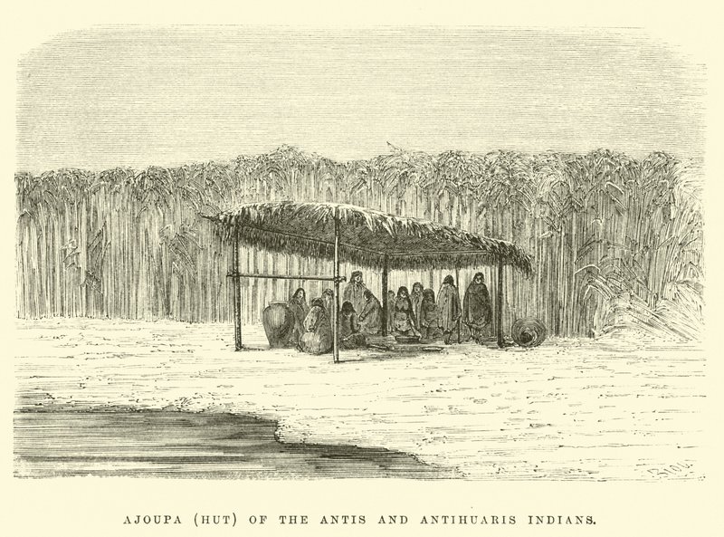 Ajoupa (Hut) of the Antis and Antihuaris Indians by Edouard Riou