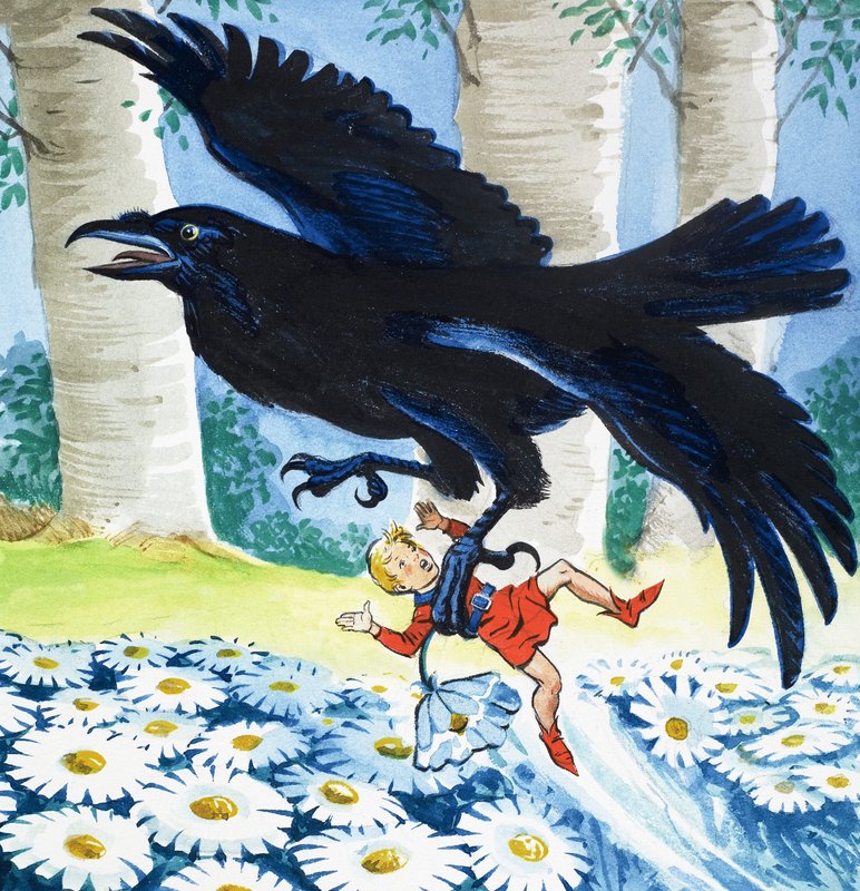 The Story of Tom Thumb by Eduardo Teixeira Coelho