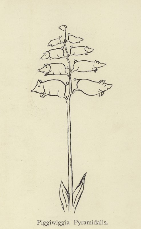 Piggiwiggia Pyramidalis by Edward Lear