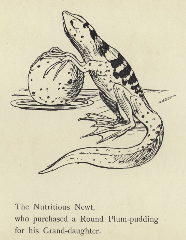 The Nutritious Newt by Edward Lear