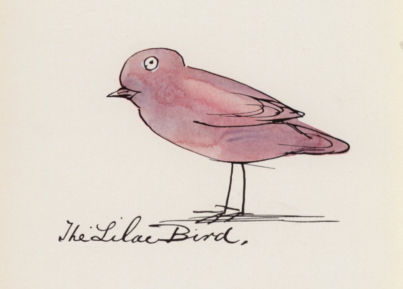 The Bird Book: The Lilac Bird by Edward (after) Lear
