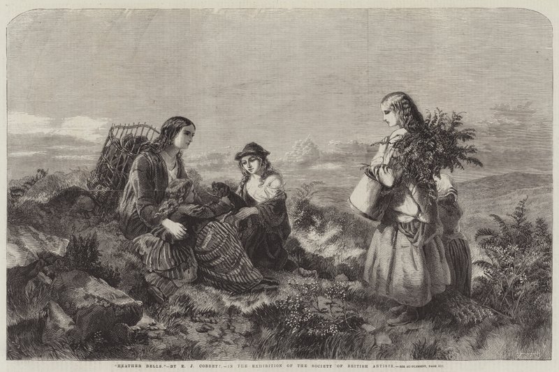 Heather Bells by Edward John Cobbett