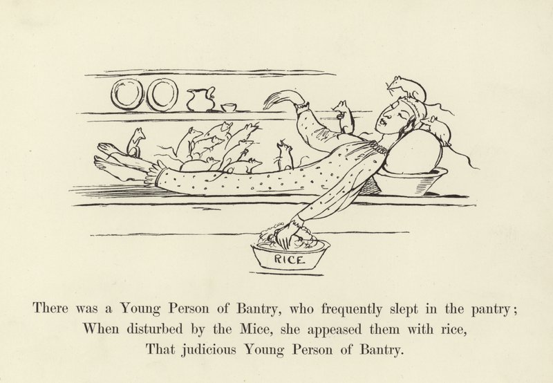 There was a Young Person of Bantry, who Frequently Slept in the Pantry by Edward Lear