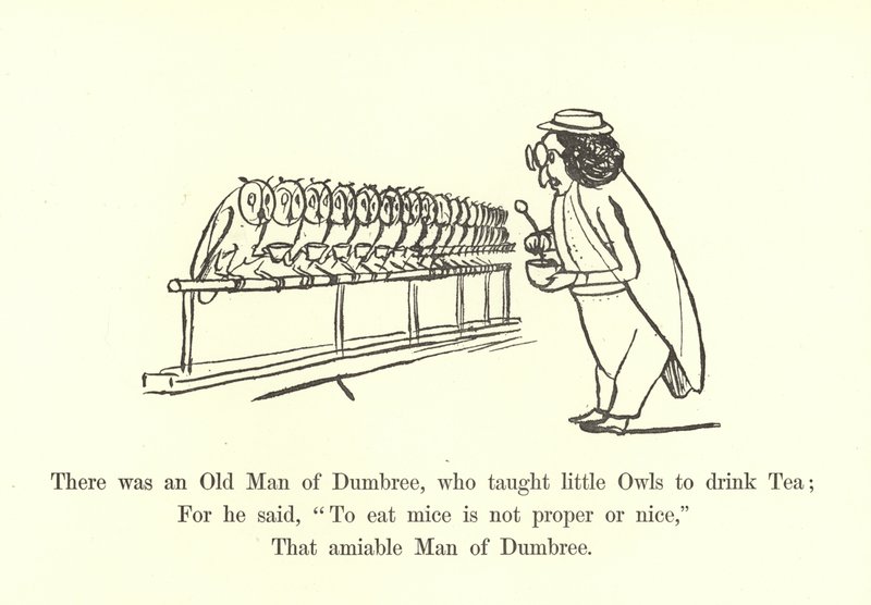 There Was an Old Man of Dumbree, Who Taught Little Owls to Drink Tea by Edward Lear