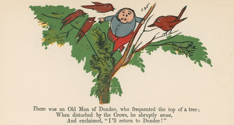 There was an Old Man of Dundee, who frequented the top of a tree, from 