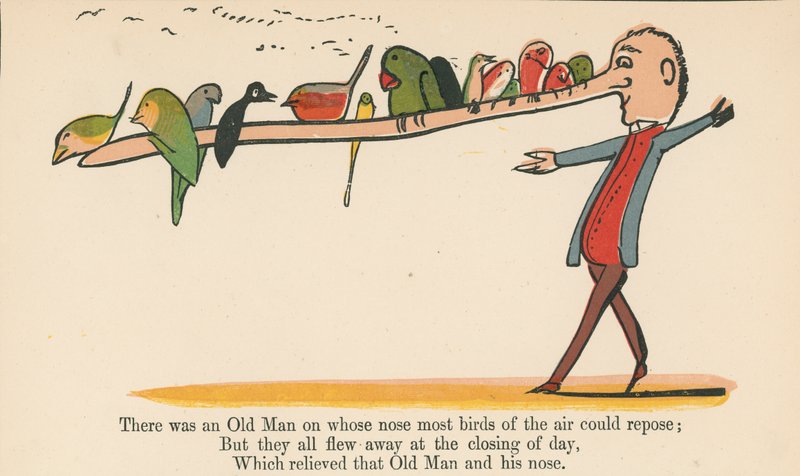 There was an Old Man on Whose Nose Most Birds of the Air Could Repose, from 