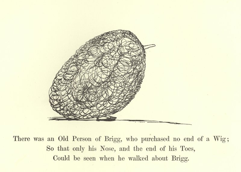 There was an Old Person of Brigg, who Purchased No End of a Wig by Edward Lear