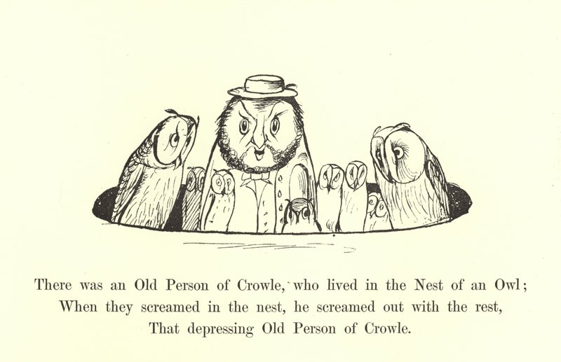 There Was an Old Person of Crowle, Who Lived in the Nest of an Owl by Edward Lear