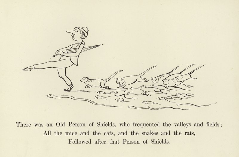 There was an Old Person of Shields, Who Frequented the Valleys and Fields by Edward Lear