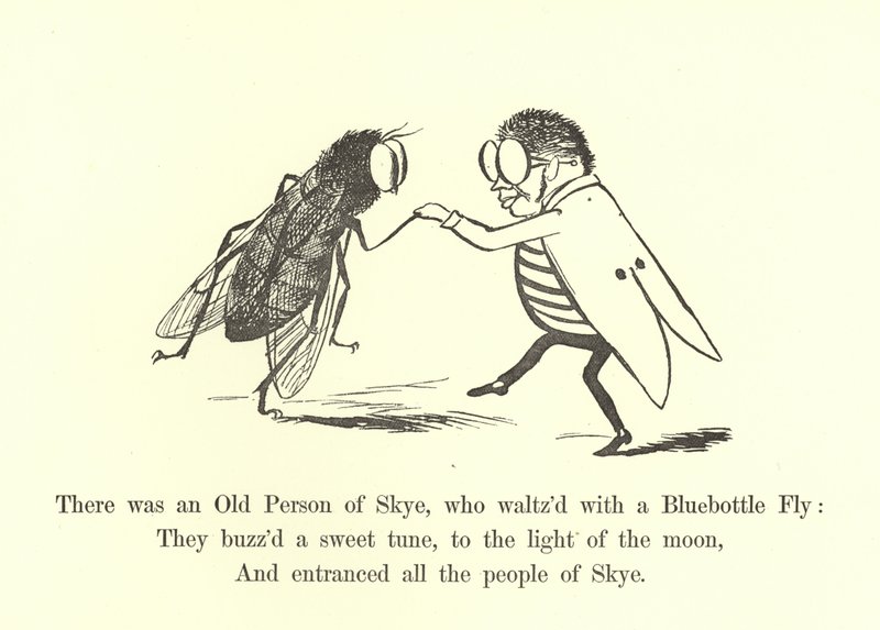 There was an Old Person of Skye, who Waltz