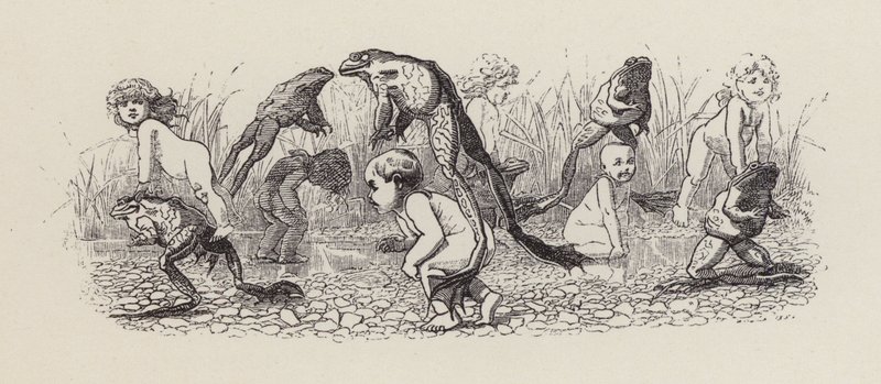 Illustration for The Water-Babies by Charles Kingsley by Edward Linley (after) Sambourne