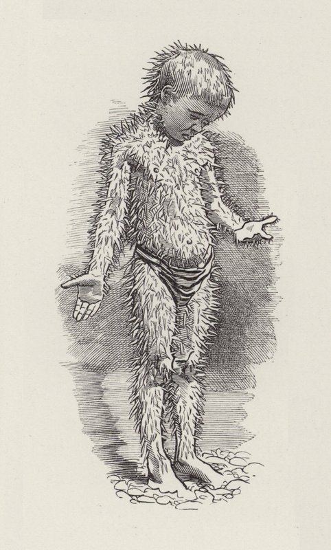 Illustration for The Water-Babies by Charles Kingsley by Edward Linley (after) Sambourne