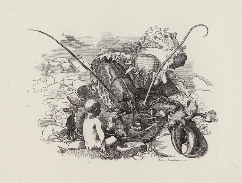 Illustration for The Water-Babies by Charles Kingsley by Edward Linley (after) Sambourne