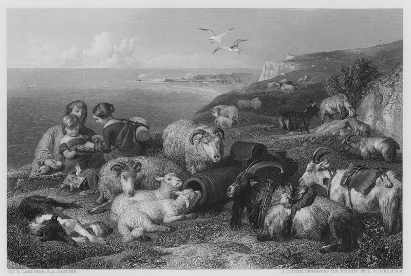 Peace, from the picture in the Vernon Gallery by Edwin (after) Landseer