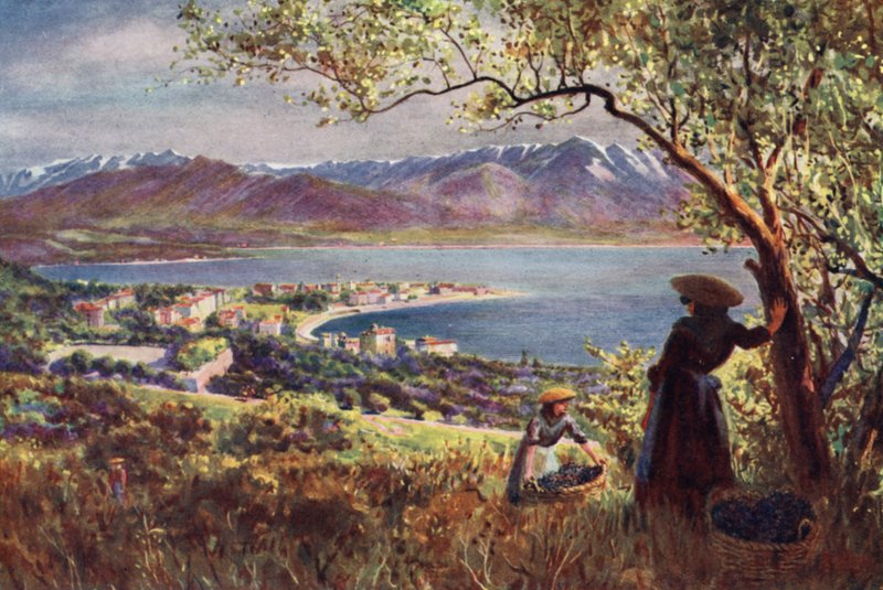 Corsica: General view of Ajaccio by Edwin Arthur Norbury