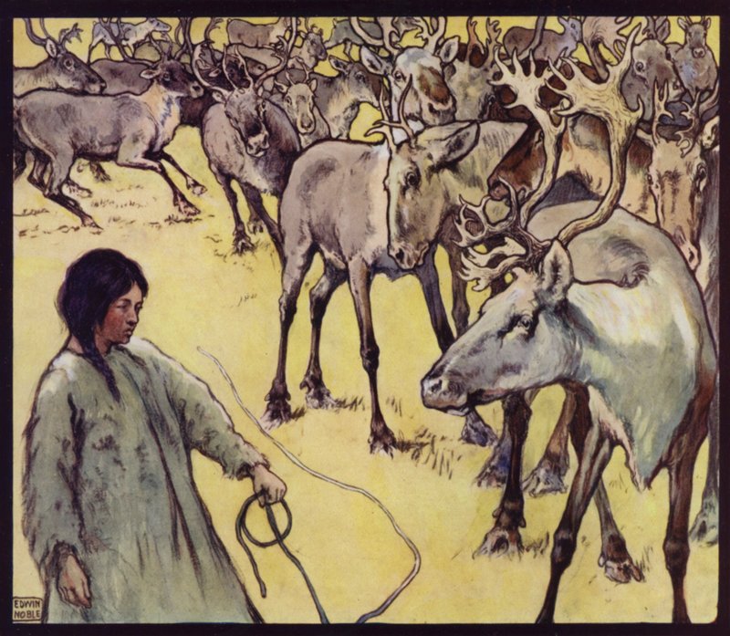 A Lapp Girl with Herd of Reindeer by Edwin Noble
