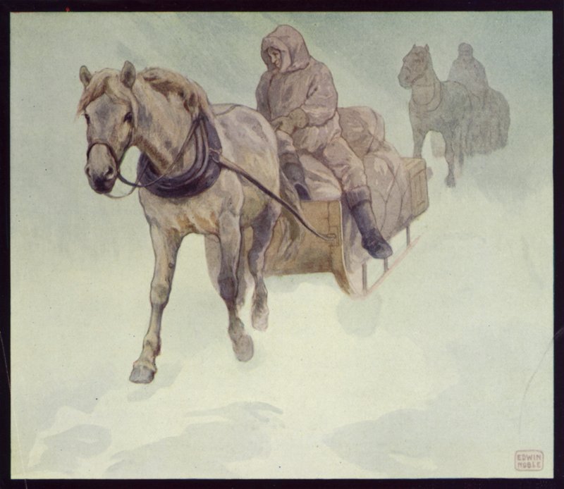 Siberian Ponies in Antarctic by Edwin Noble